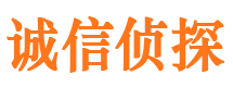 佛坪寻人公司